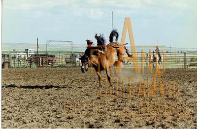 Photographic Print