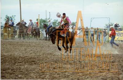 Photographic Print