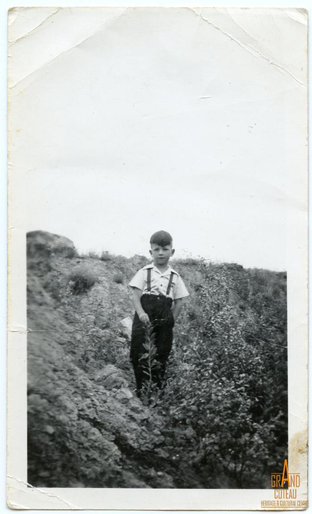 Photograph