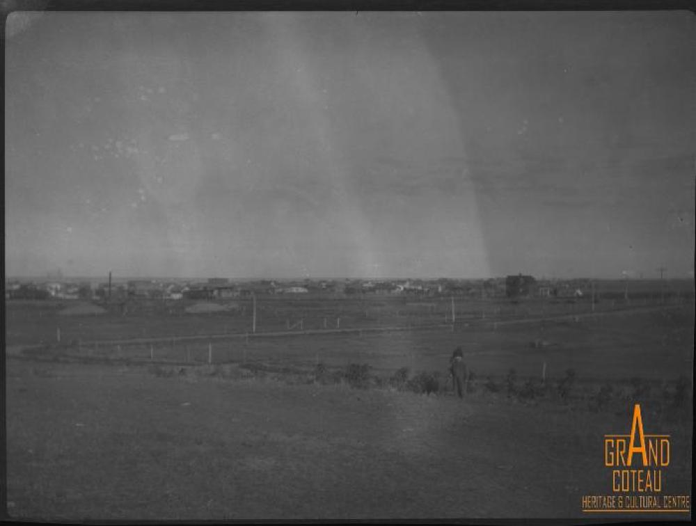 Photographic Negative