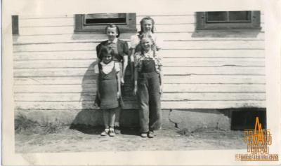 Photograph