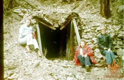 Photographic Negative