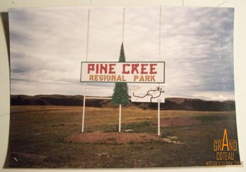 Photograph