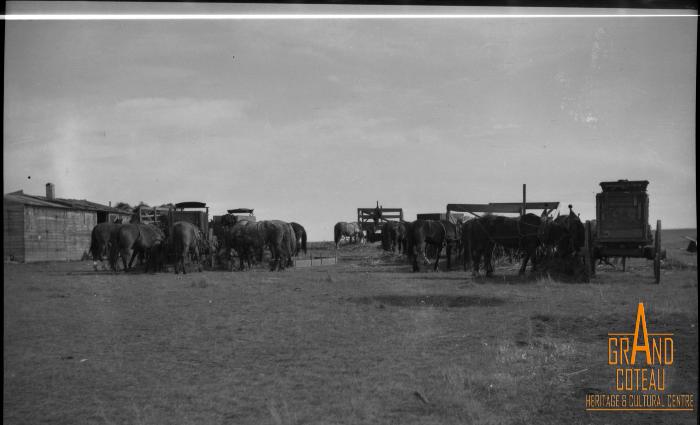 Photographic Negative