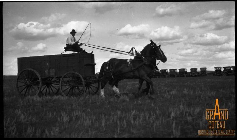Photographic Negative