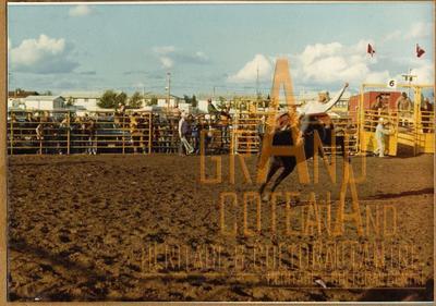 Photographic print