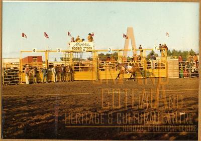 Photographic print