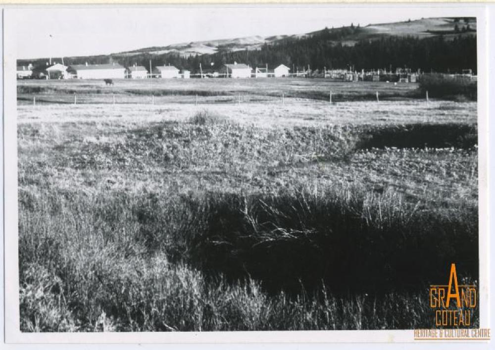 Photographic Print