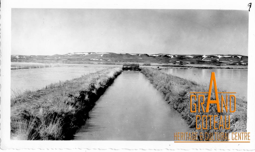 Photographic Print