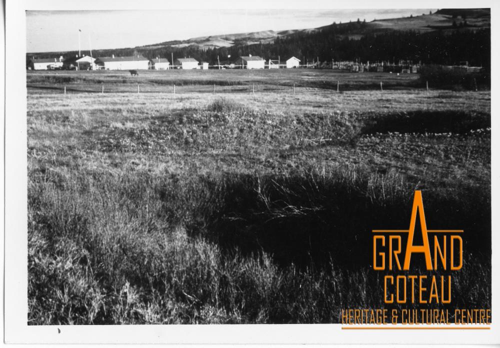 Photographic Print