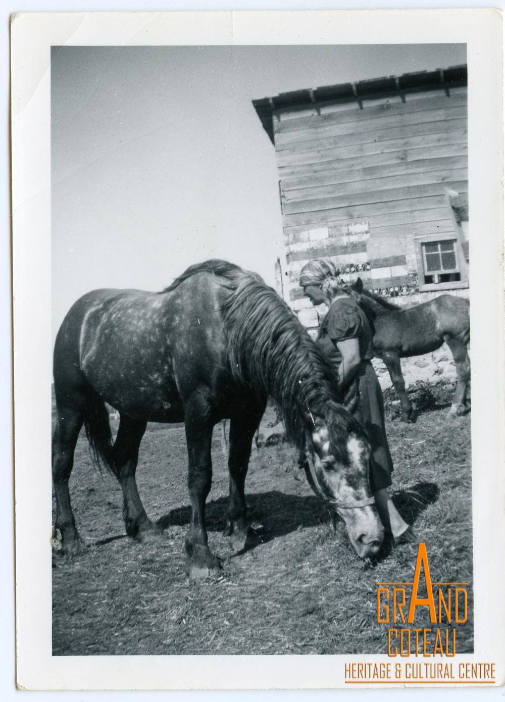 Photographic Print, unidentified woman posing with horses
