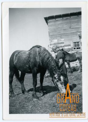 Photographic Print, unidentified woman posing with horses