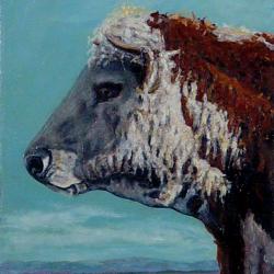 Portrait of a Hereford - Female