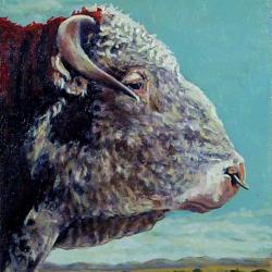 Portrait of a Hereford - Male