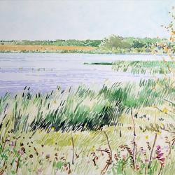 Summer Slough - Stillness