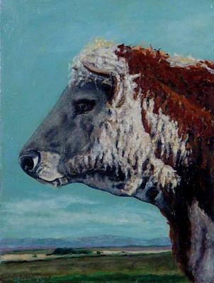 Portrait of a Hereford - Female