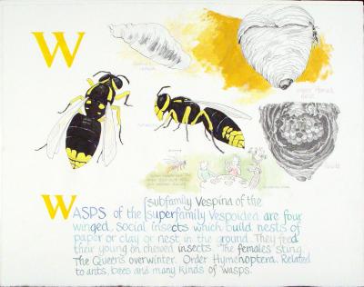 Encyclopedia: Wasps