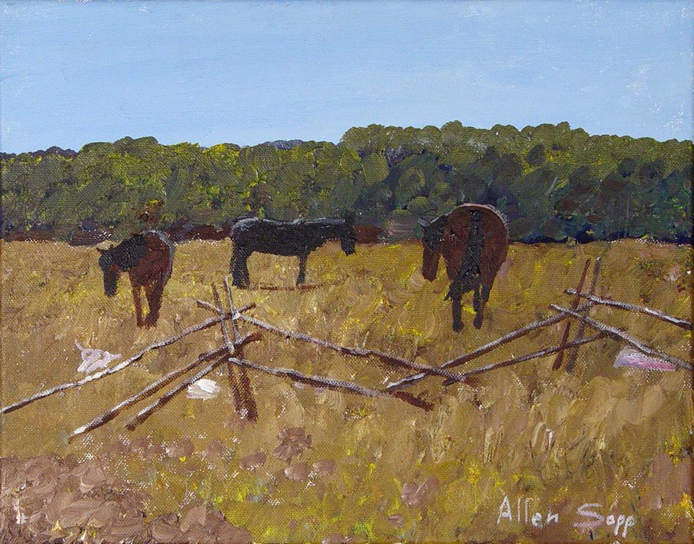 The Horses Need to Rest