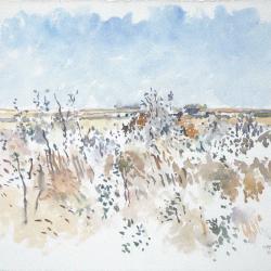 Saskatoon Bush, Silverberry & Grasses