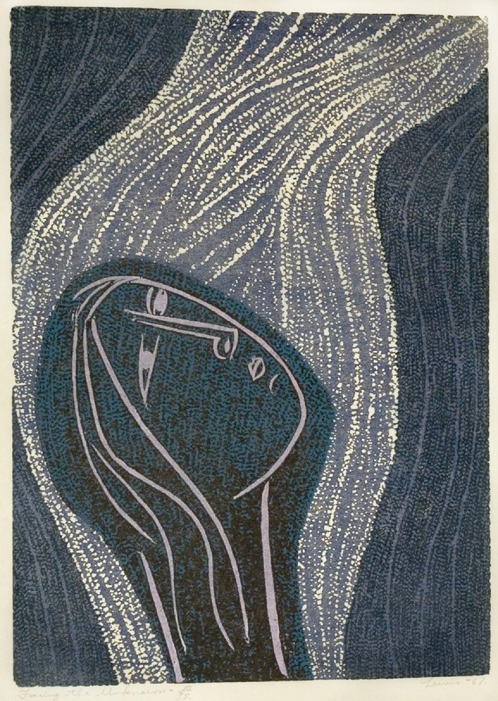 Facing the Unknown