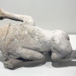 Woman Crawling