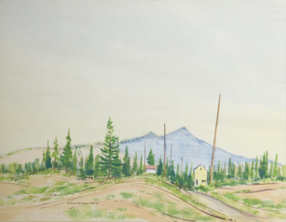 View from 445 Walter Street