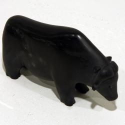 Muskox