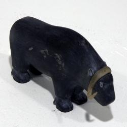 Muskox
