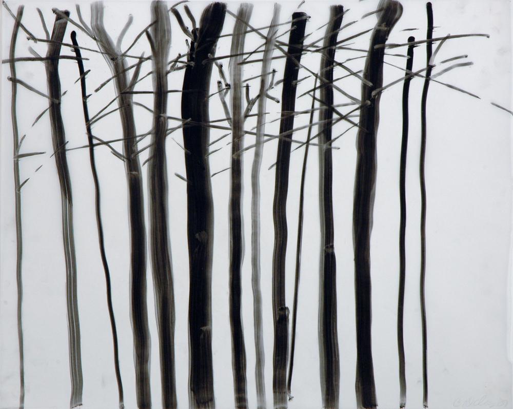 Untitled (trees)