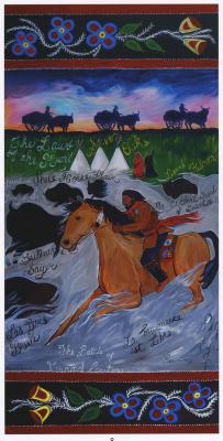 The Metis: A Visual History
