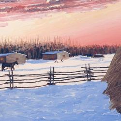 Winter on the Red Pheasant Reserve