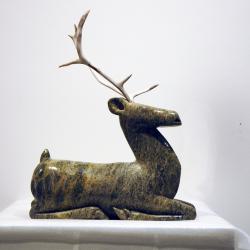 Caribou