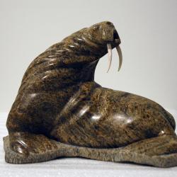 Walrus