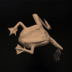 Frog A
