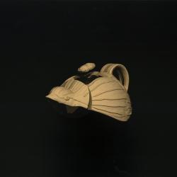Sparrow A