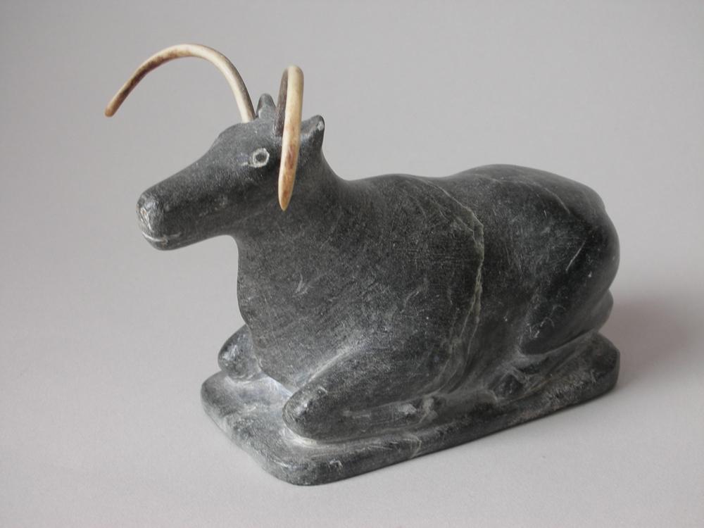 Caribou