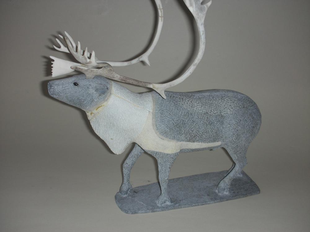 Caribou