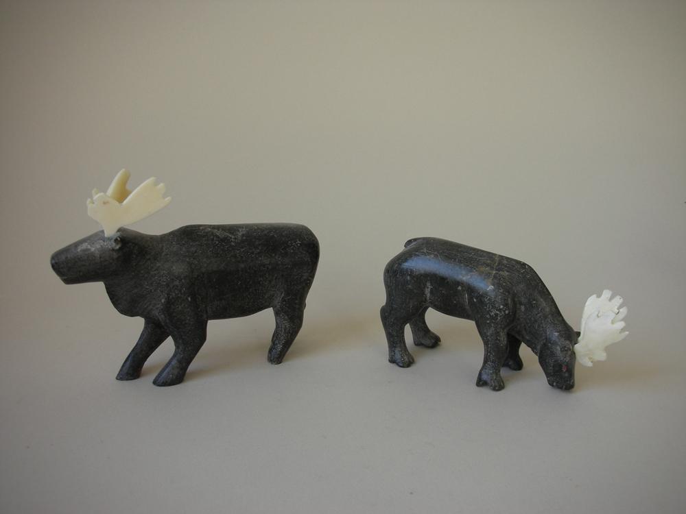 Two Caribou