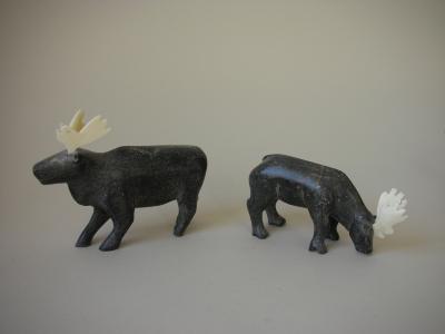 Two Caribou