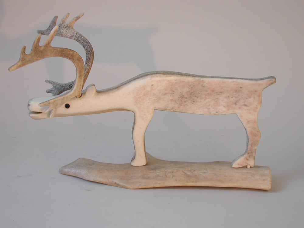 Caribou