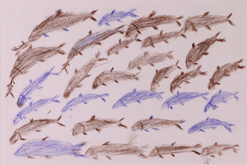 Fish