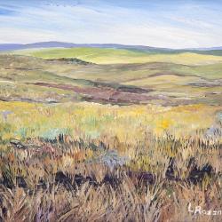 Grasslands View 6