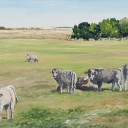 Pasture Dwellers