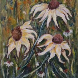 Healing Echinacea