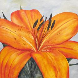 My Tiger Lily 