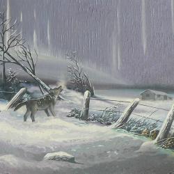 Winter Night