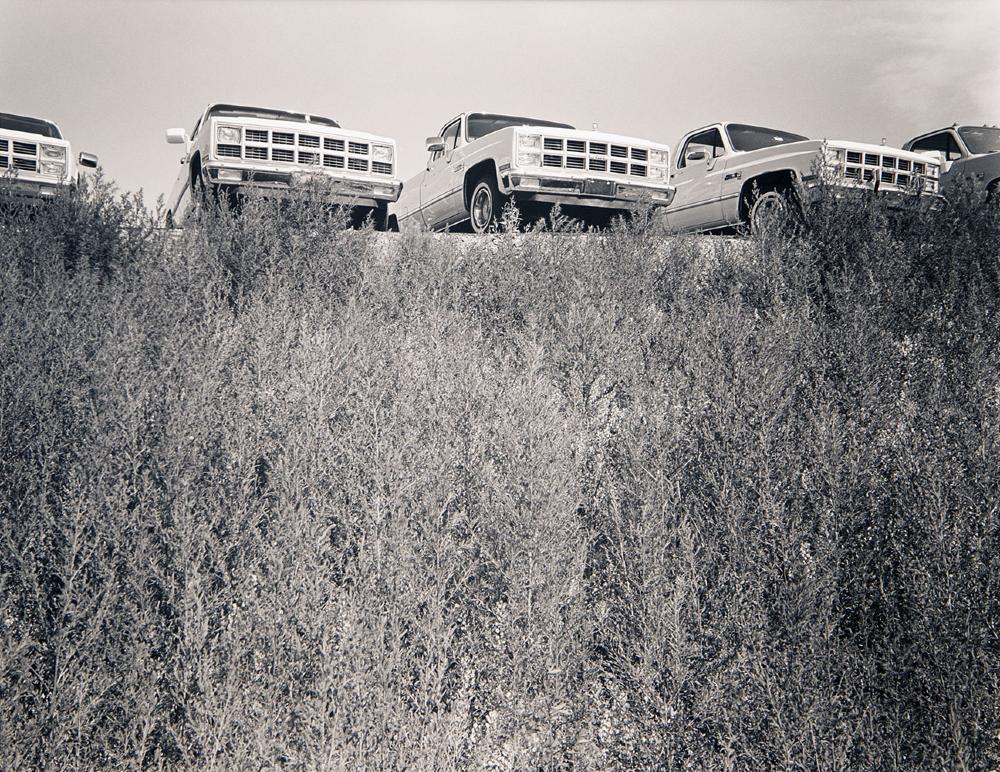 Chevies on Display, Saskatoon