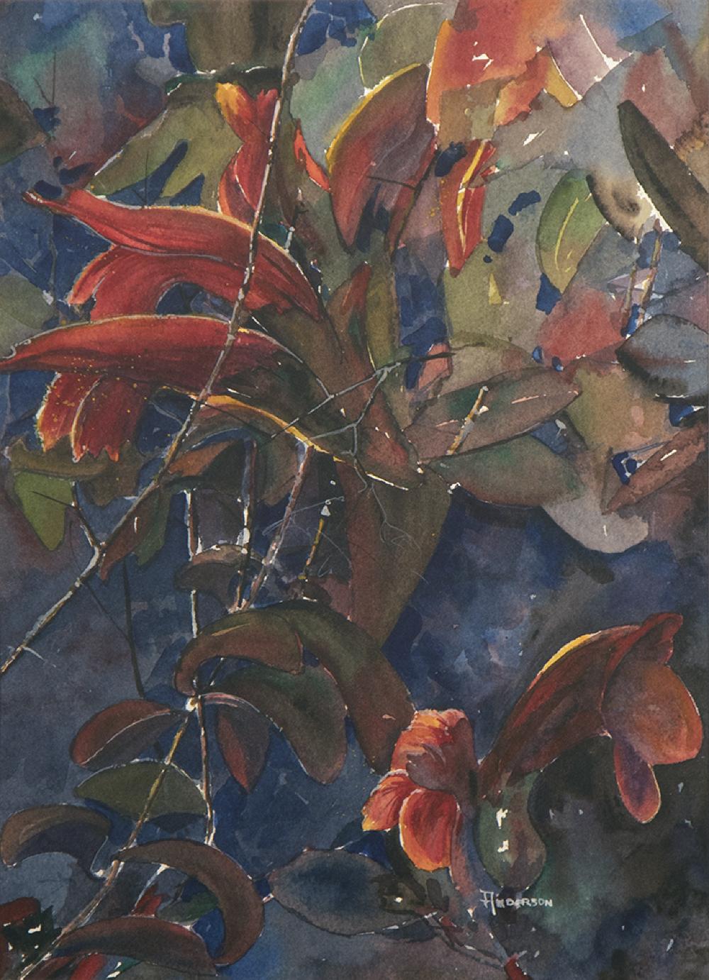 Lipstick Plant