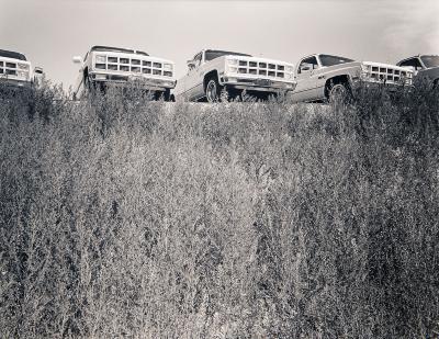 Chevies on Display, Saskatoon