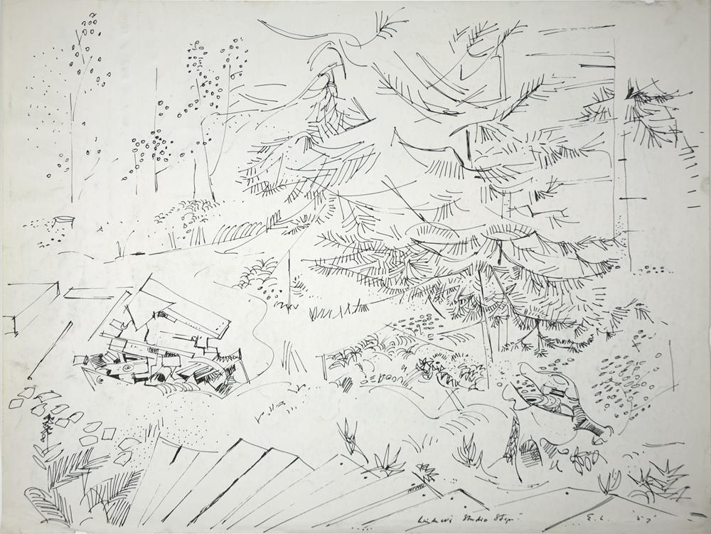 Lindner's Studio Steps